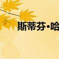 斯蒂芬·哈曼（关于斯蒂芬·哈曼简介）