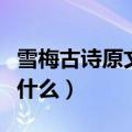 雪梅古诗原文及翻译（雪梅古诗原文及翻译是什么）