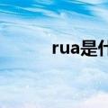 rua是什么意思（看完就明白了）
