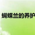 蝴蝶兰的养护方法（蝴蝶兰的养护方法介绍）
