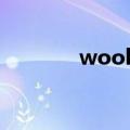 wool什么意思（wool解释）