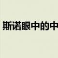 斯诺眼中的中国（关于斯诺眼中的中国简介）