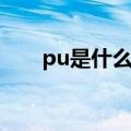pu是什么材质（pu材质是什么材质）