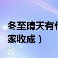 冬至晴天有什么说法（冬至晴天会影响来年庄家收成）