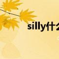 silly什么意思（silly怎么造句呢）