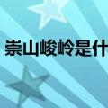 崇山峻岭是什么意思（崇山峻岭释义及出处）