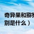 奇异果和猕猴桃的区别（奇异果和猕猴桃的区别是什么）