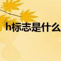 h标志是什么牌子的车（H是什么车的标志）