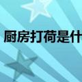 厨房打荷是什么意思（厨房打荷意思是什么）