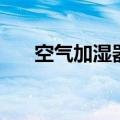 空气加湿器原理（加湿器原理是什么）