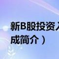 新B股投资入门速成（关于新B股投资入门速成简介）