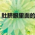 肚脐眼里面的脏东西可以清理吗（怎么清理）