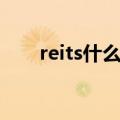 reits什么意思（reits的解释及读音）
