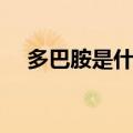 多巴胺是什么意思网络上（多巴胺解释）