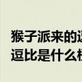 猴子派来的逗比到底是什么意思（猴子派来的逗比是什么梗）