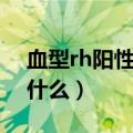血型rh阳性是什么意思（血型rh阳性指的是什么）