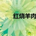 红烧羊肉怎么做（红烧羊肉的做法）