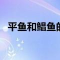 平鱼和鲳鱼的区别（怎么区别平鱼和鲳鱼）