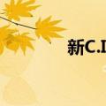 新C.I.D（关于新C.I.D简介）