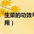 生菜的功效与作用禁忌（生菜有什么功效与作用）