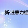 新‧注意力经济（关于新‧注意力经济简介）