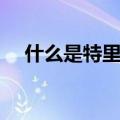 什么是特里芬难题（特里芬难题的含义）