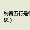 纳音五行是什么意思（纳音五行具体是什么意思）