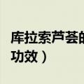 库拉索芦荟的功效与作用（库拉索芦荟有什么功效）