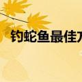钓蛇鱼最佳方法（钓蛇鱼用什么样的方法）