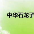 中华石龙子怎么养（中华石龙子如何养）