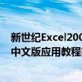 新世纪Excel2003中文版应用教程（关于新世纪Excel2003中文版应用教程简介）