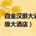 白金汉爵大酒店几星级（白金汉爵标准的五星级大酒店）