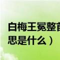 白梅王冕整首诗的意思（白梅王冕整首诗的意思是什么）