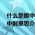 什么是眼中钉什么是肉中刺,（关于眼中钉肉中刺意思介绍）