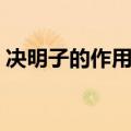 决明子的作用与功效（决明子对人体的好处）
