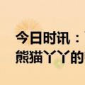 今日时讯：丫丫预计今天下午抵达上海 旅美熊猫丫丫的归途
