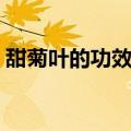 甜菊叶的功效与作用及禁忌（甜菊叶的说明）