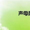 声母是什么（声母专业解释）
