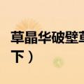 草晶华破壁草本的功效（下面我们就来了解一下）