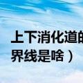 上下消化道的分界线是什么（上下消化道的分界线是啥）