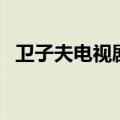 卫子夫电视剧全集介绍（卫子夫剧集节选）