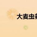 大麦虫养殖技术（大麦虫如何养）