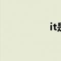 it是什么工作（it解释）