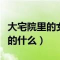 大宅院里的女人剧情介绍（大宅院里的女人讲的什么）