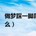 做梦踩一脚屎什么意思（做梦踩一脚屎暗示什么）