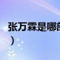 张万霖是哪部电视剧里（张万霖的电视剧介绍）