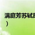 满庭芳苏轼原文及翻译（满庭芳三十三年解析）