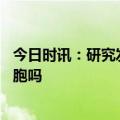 今日时讯：研究发现摧毁癌细胞新靶点 新冠病毒能摧毁癌细胞吗
