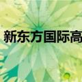 新东方国际高中（关于新东方国际高中简介）
