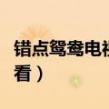 错点鸳鸯电视剧全集在哪里看（大家不妨去看看）